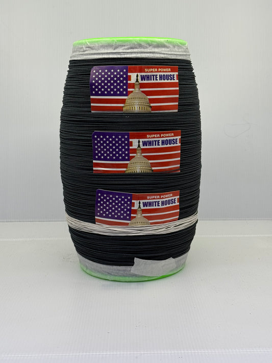 Motti Dor White House 102